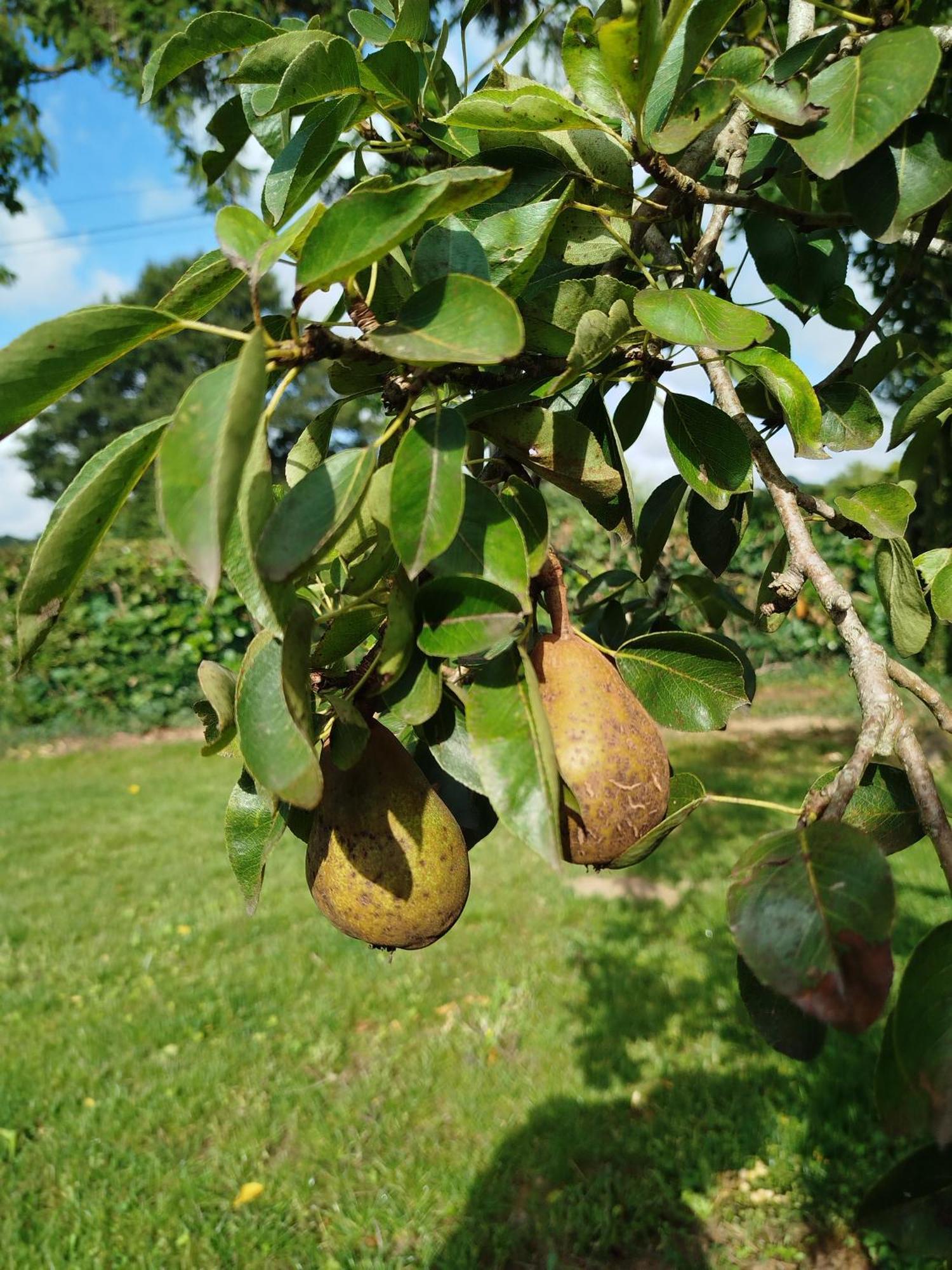 Le Gite De La Haie Portee Lignieres-Orgeres Exterior foto
